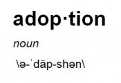 The Definition of Adoption