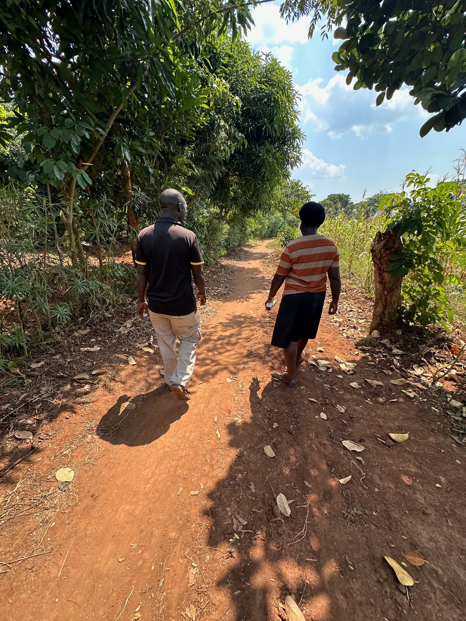 walking new Shiloh land dreaming and planning